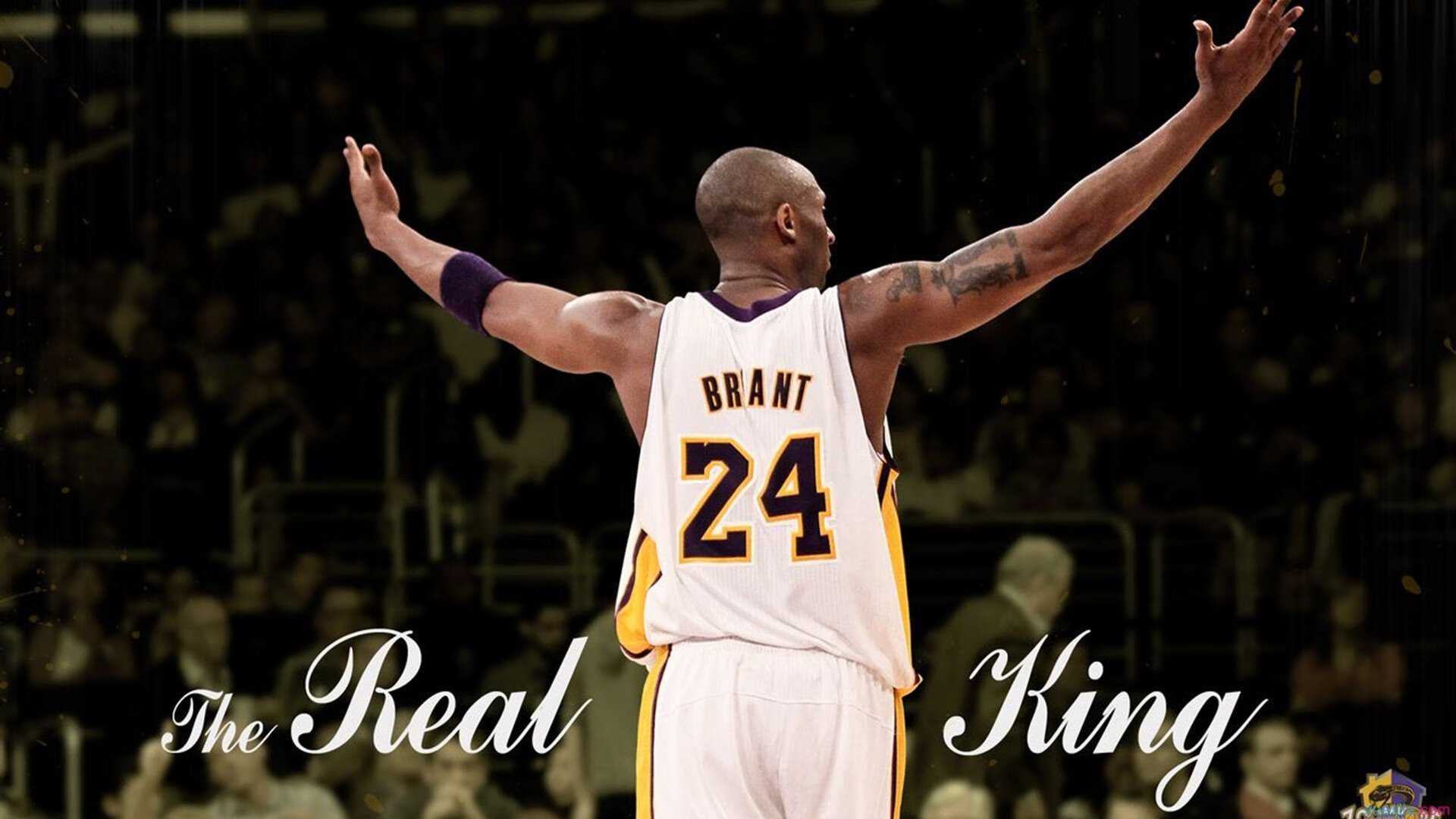 体育仲裁机构裁定争议案件，维护赛事公平与公正